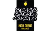 SOMA SEEDS UNISEX T-SHIRT – Soma's Sacred Seeds – Sacred and legendary  award winning cannabis seeds