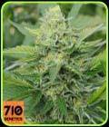 Carnage - 710 Genetics