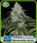 Kera Classic Auto - Keramatic Auto - Kera Seeds