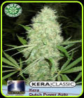 Kera Classic Auto - Dutch Power Auto - Kera Seeds