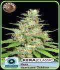 Kera Classic - Kera Outdoor Hurricane - Kera Seeds