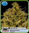 Kera Classic - Medical Skunk - Kera Seeds