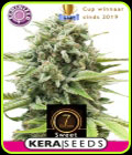 Kera Classic - Sweet Seven Eleven - Kera Seeds