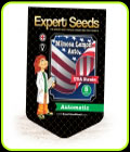 Mimosa Lemon Auto - Expert Seeds