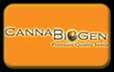 Buy Cannabis Seeds - Best Prices, Biggest Selection ...