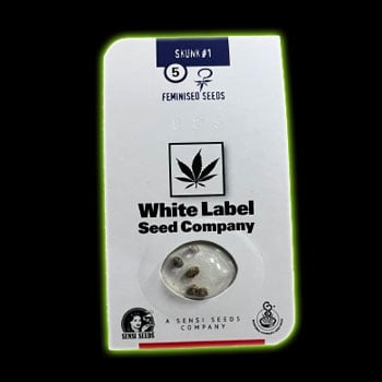 Image of the packaging White Label Seeds uses